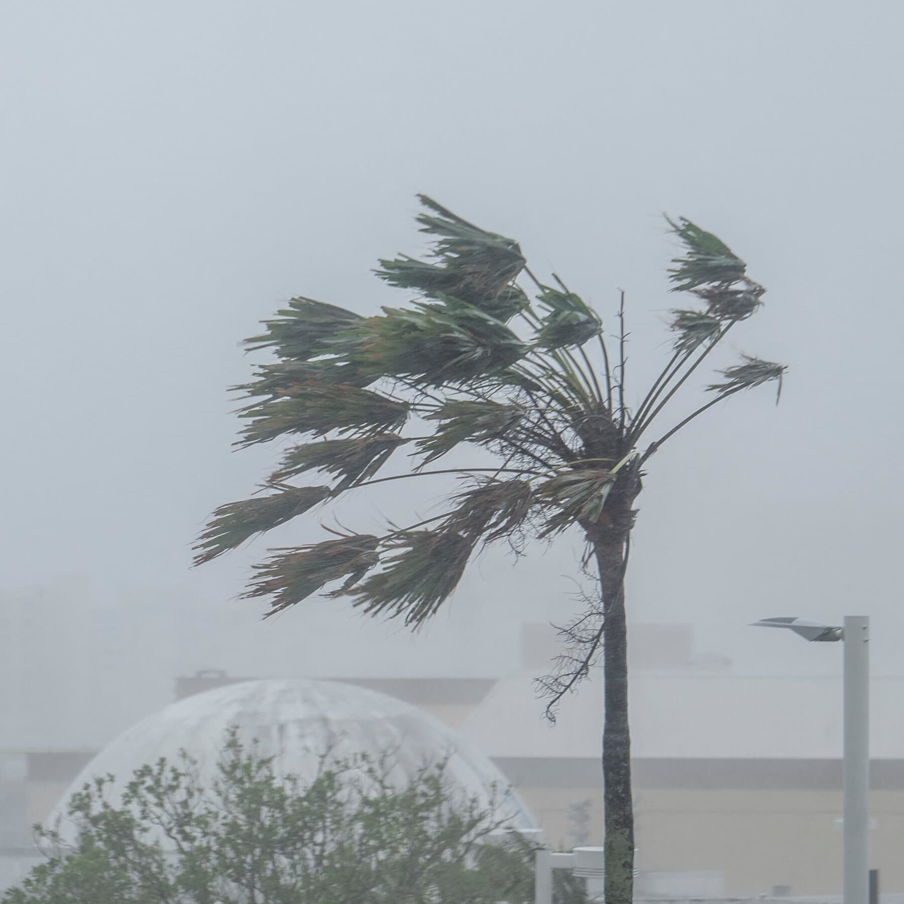 Typhoon Bavi Pounds Guam and Northern Mariana Islands