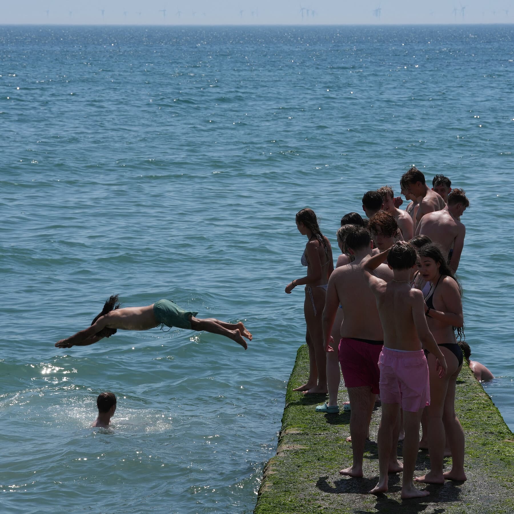 Hotter Seas in Britain and Europe Threaten Marine Life